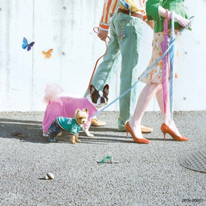 百灵鸟被操到爽
