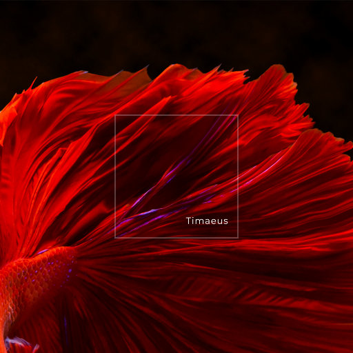 百灵鸟被操到爽
